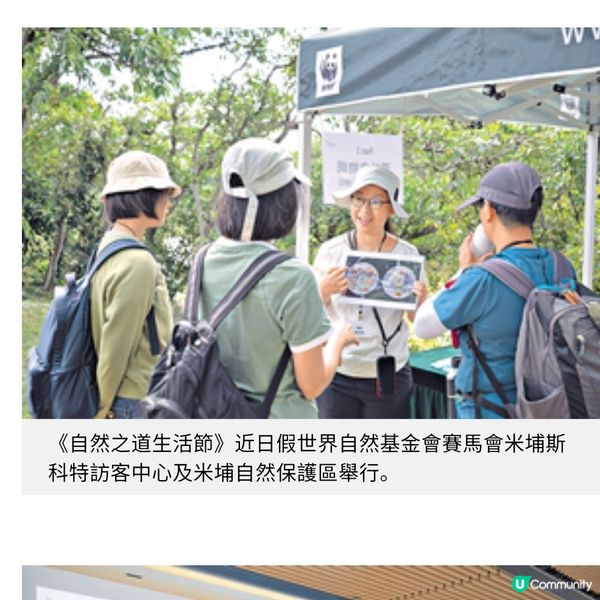 賽馬會近8千萬啟動「智慧濕地管理計劃」 米埔保育員善用科技應