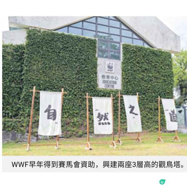 賽馬會近8千萬啟動「智慧濕地管理計劃」 米埔保育員善用科技應
