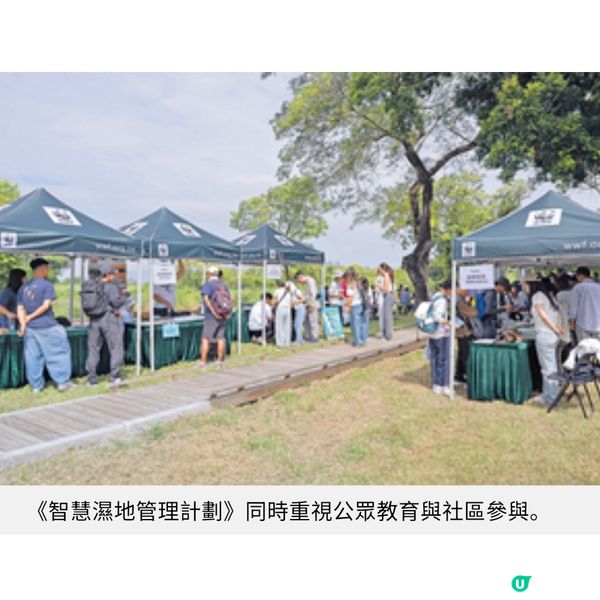 賽馬會近8千萬啟動「智慧濕地管理計劃」 米埔保育員善用科技應