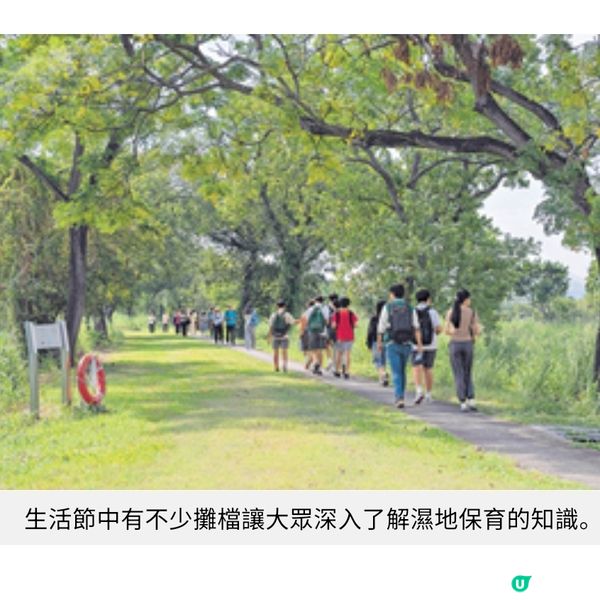 賽馬會近8千萬啟動「智慧濕地管理計劃」 米埔保育員善用科技應