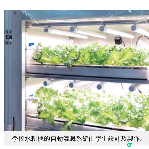 引入智能機械人科技設施聖十架學校 推動STEAM生活化