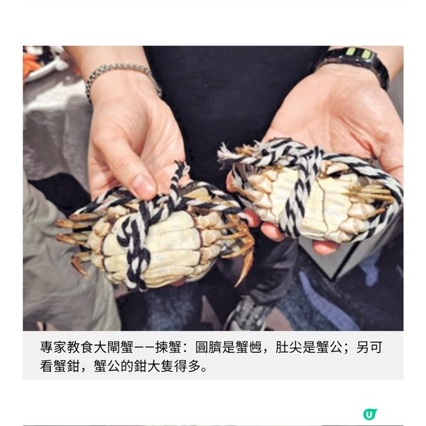 80後凍肉批發第三代開拓大閘蟹藍海