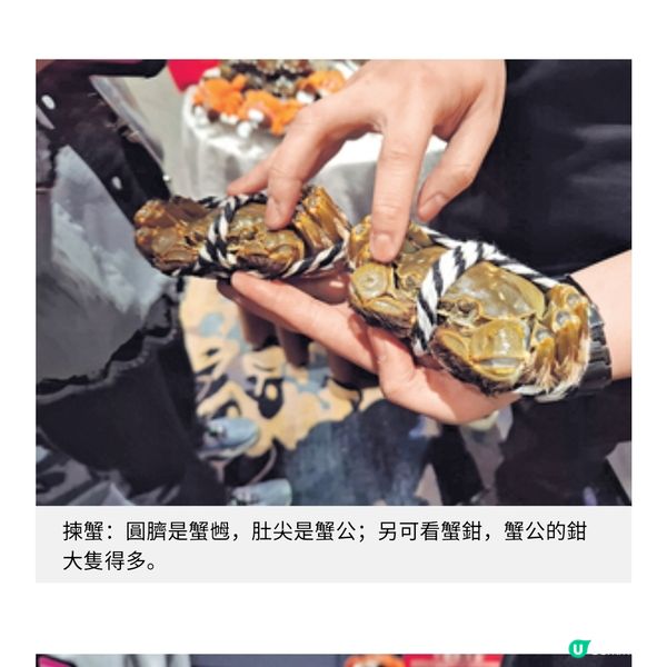 80後凍肉批發第三代開拓大閘蟹藍海