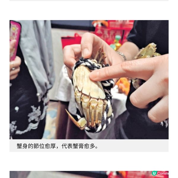 80後凍肉批發第三代開拓大閘蟹藍海