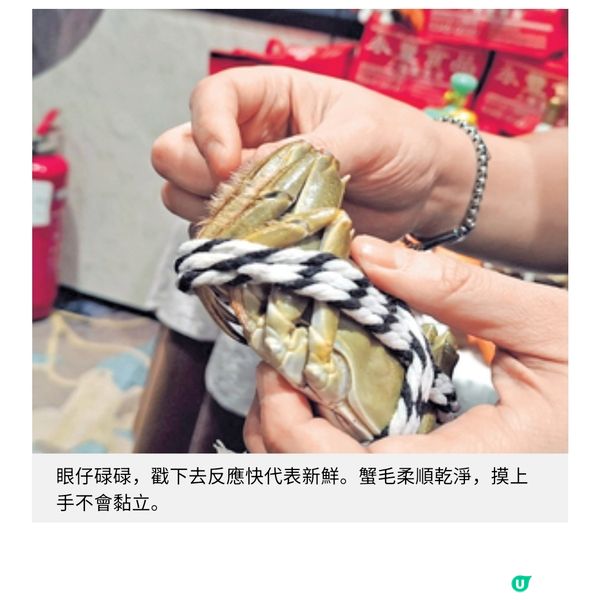 80後凍肉批發第三代開拓大閘蟹藍海