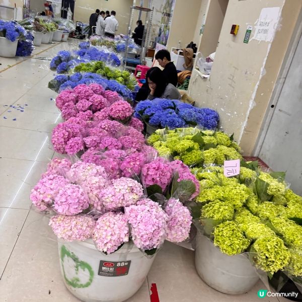 雲南/超全攻略鬥南花市鮮花攻略🌸  