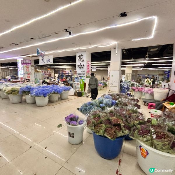 雲南/超全攻略鬥南花市鮮花攻略🌸  