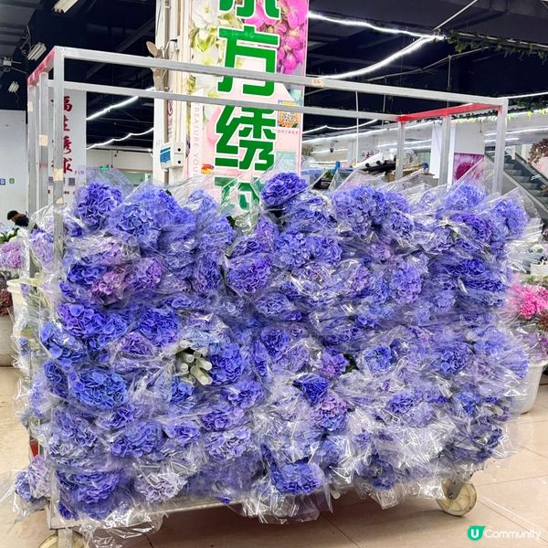 雲南/超全攻略鬥南花市鮮花攻略🌸  