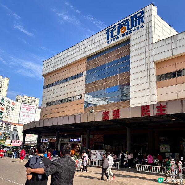 雲南/超全攻略鬥南花市鮮花攻略🌸  