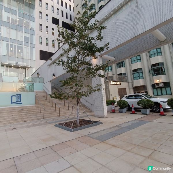 浸大西餐🤤！環境一流，服務好~