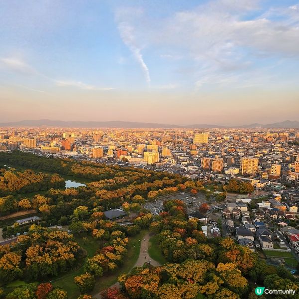 2025年大阪最新熱氣球體驗🤩360度俯瞰百舌鳥古墳群!!