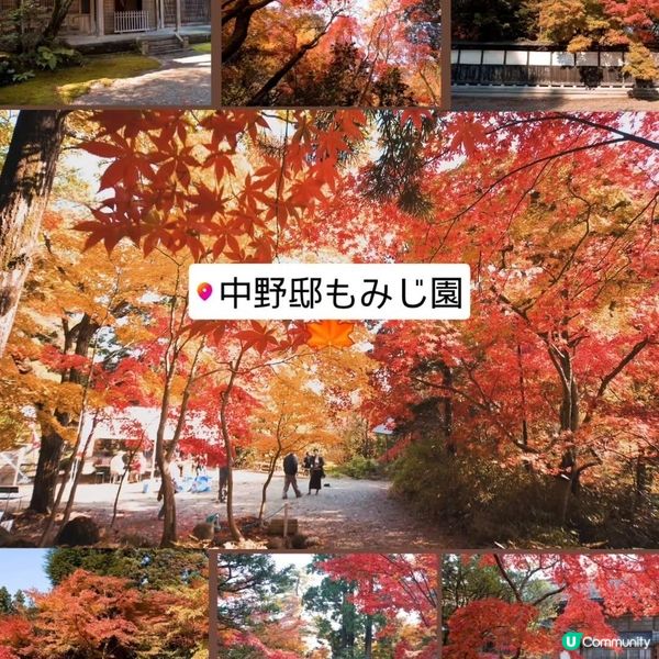 紅葉🍁襯淒美！中野邸美術館🍂！