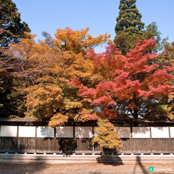 紅葉🍁襯淒美！中野邸美術館🍂！