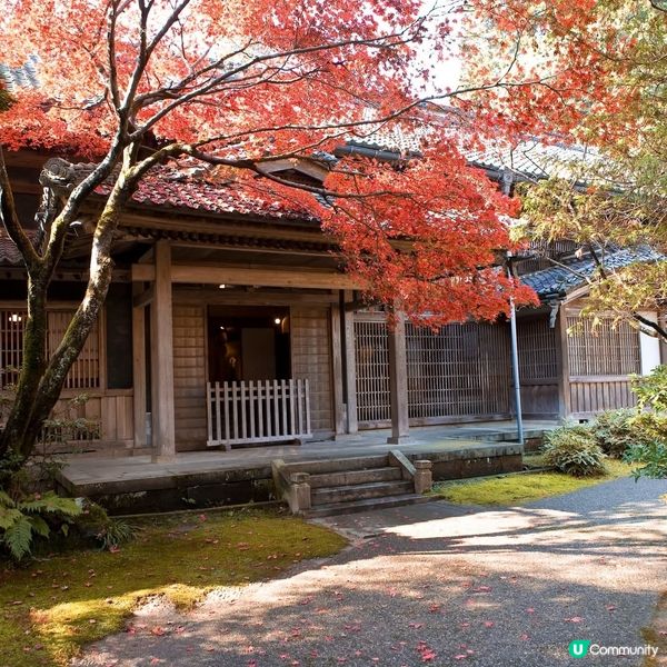 紅葉🍁襯淒美！中野邸美術館🍂！