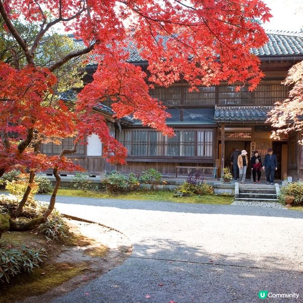紅葉🍁襯淒美！中野邸美術館🍂！