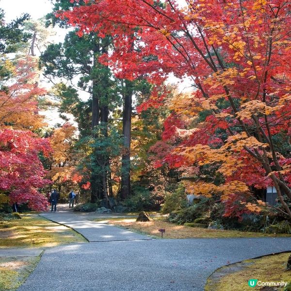 紅葉🍁襯淒美！中野邸美術館🍂！