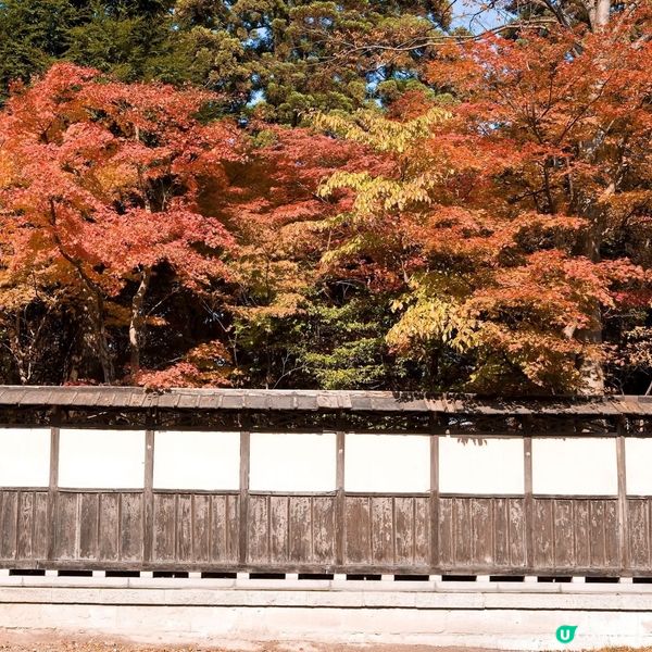 紅葉🍁襯淒美！中野邸美術館🍂！