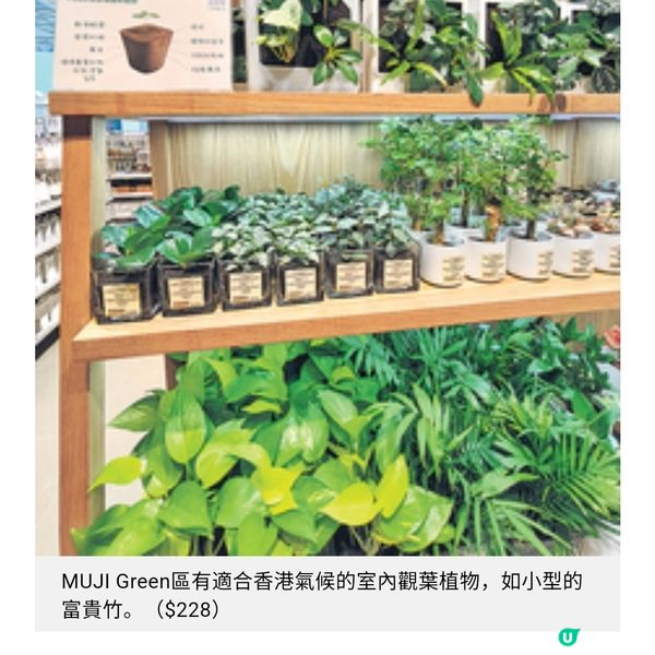 無印良品apm擴充店3大亮點增設自助咖啡機 給水站