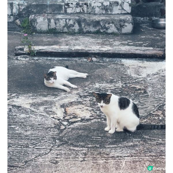 三門仔秋日影景之選📸 🏞️