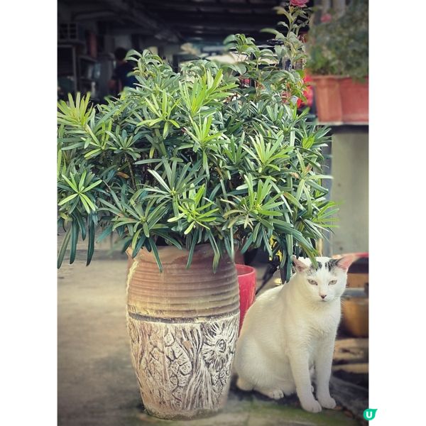 三門仔秋日影景之選📸 🏞️