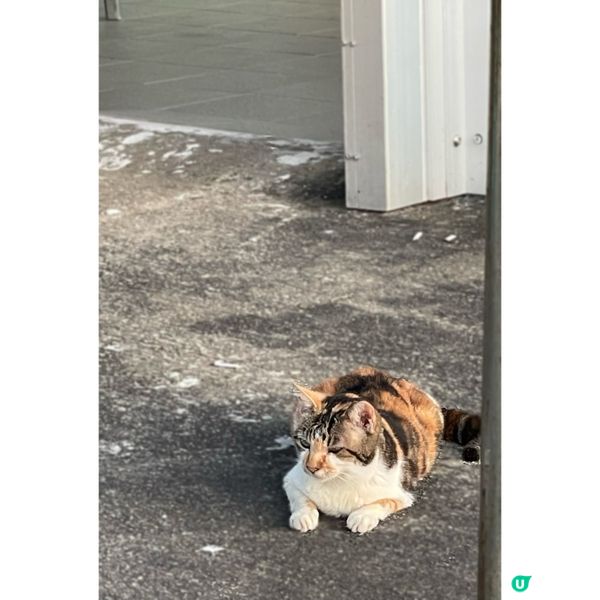 三門仔秋日影景之選📸 🏞️