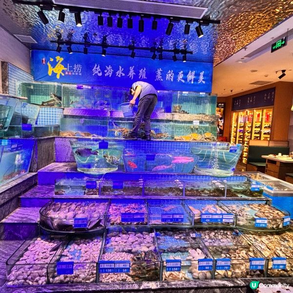 深圳/高CP值蒸品海鮮二人套餐推薦