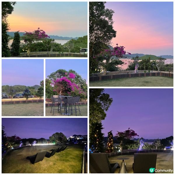 粉紅樹中菜餐廳推薦🌸