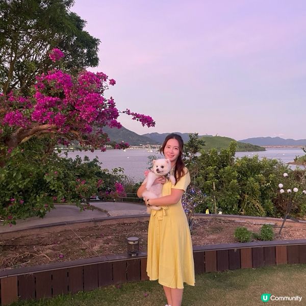 粉紅樹中菜餐廳推薦🌸