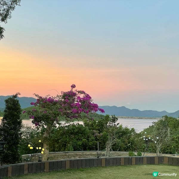 粉紅樹中菜餐廳推薦🌸