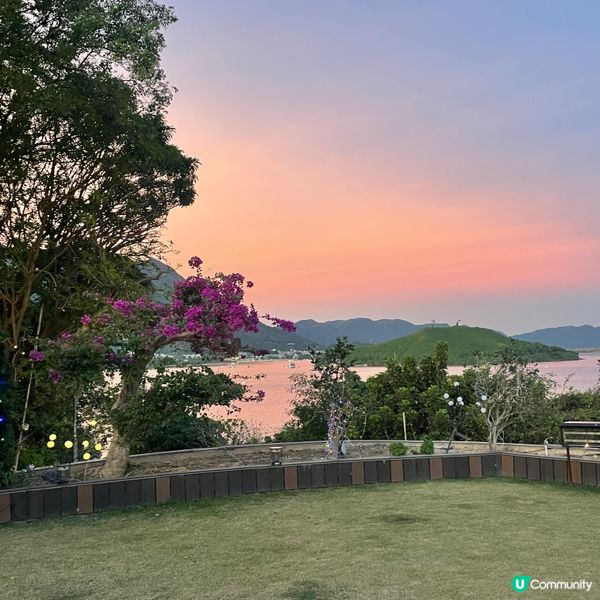 粉紅樹中菜餐廳推薦🌸