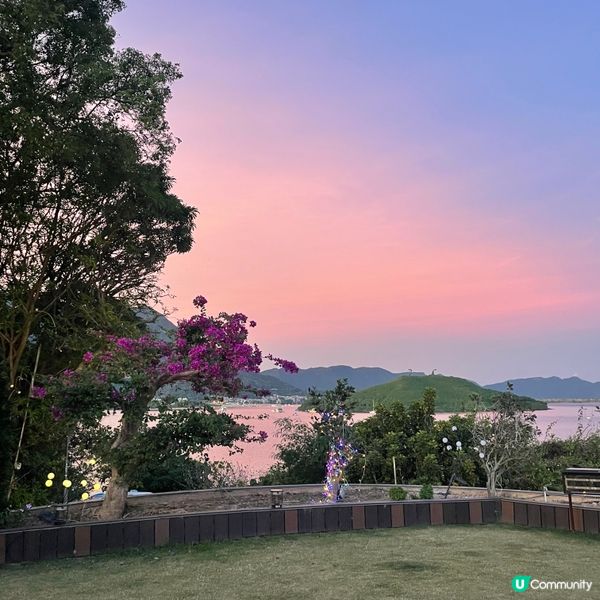 粉紅樹中菜餐廳推薦🌸