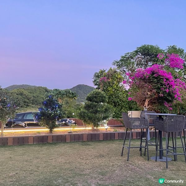 粉紅樹中菜餐廳推薦🌸