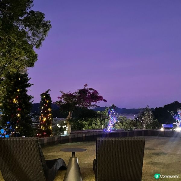 粉紅樹中菜餐廳推薦🌸