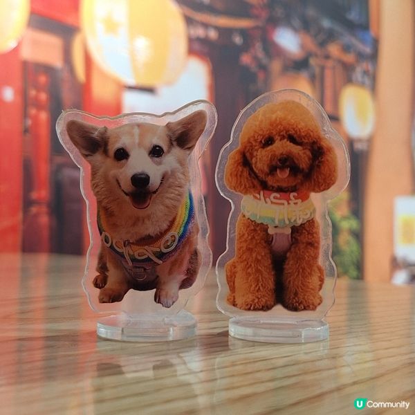 【元朗地庫尋寶！和牛海膽報警🚨】二人前都夠晒邪惡！🤤