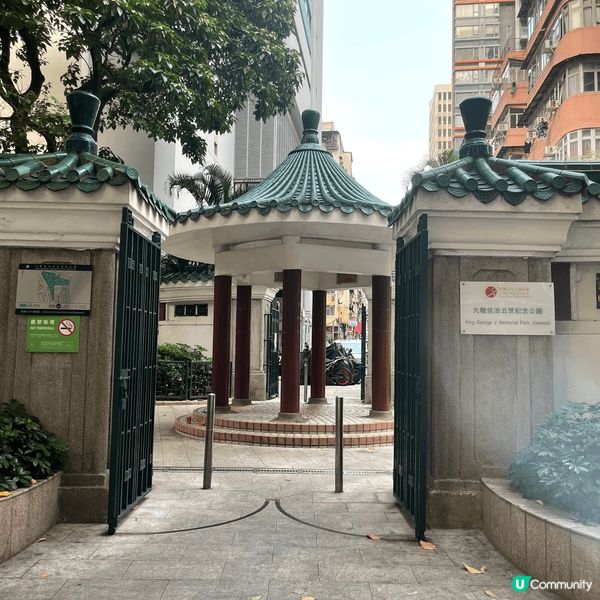 成日都會約齊朋友去打波，不論係曲棍球、籃球、網球、自己游水，...