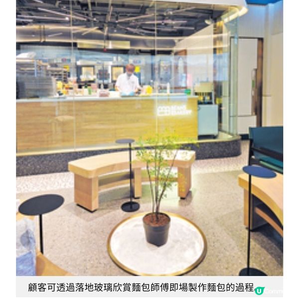 荳子烘焙 旗艦店進駐日出康城 食大閘蟹粉酥賞溜冰場靚景