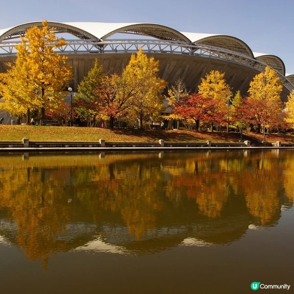 新潟紅葉🍁市區遊！紅葉銀杏勁靚🤩