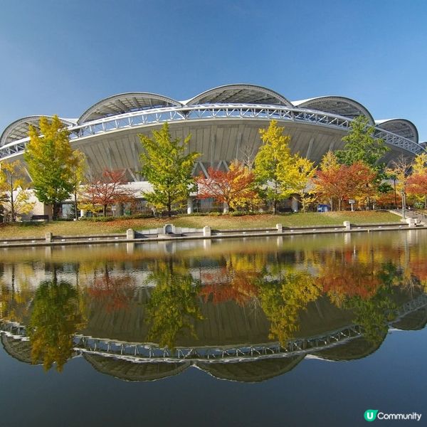 新潟紅葉🍁市區遊！紅葉銀杏勁靚🤩