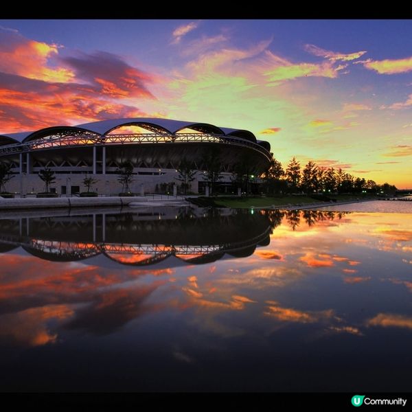 新潟紅葉🍁市區遊！紅葉銀杏勁靚🤩