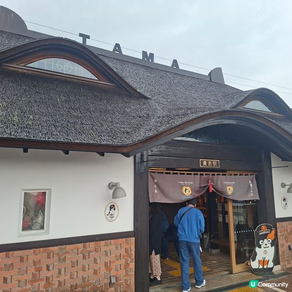 ✨️參觀超人氣貓站長TAMA車站💞探訪貓咪站長🤭好可愛