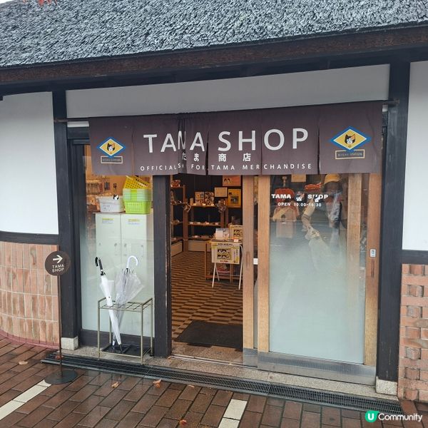 ✨️參觀超人氣貓站長TAMA車站💞探訪貓咪站長🤭好可愛