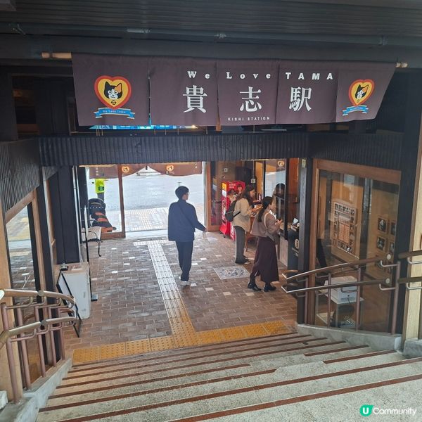 ✨️參觀超人氣貓站長TAMA車站💞探訪貓咪站長🤭好可愛