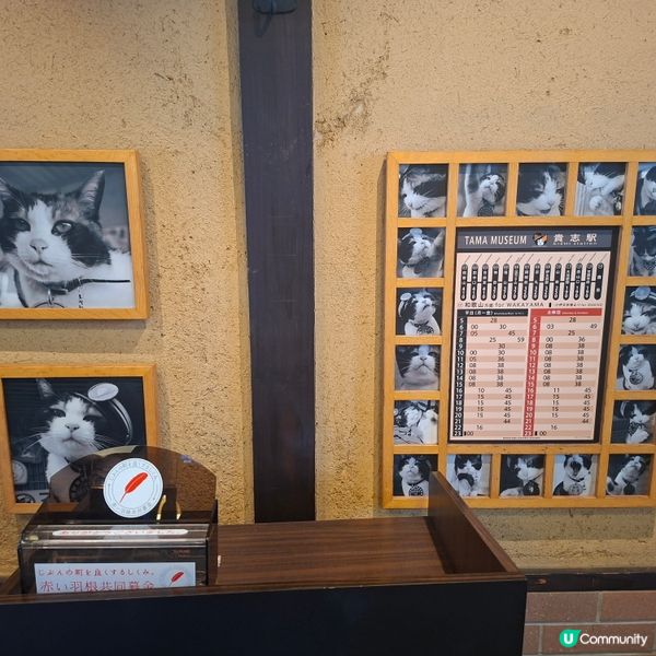 ✨️參觀超人氣貓站長TAMA車站💞探訪貓咪站長🤭好可愛