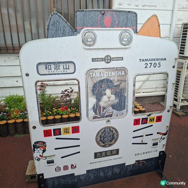 ✨️參觀超人氣貓站長TAMA車站💞探訪貓咪站長🤭好可愛