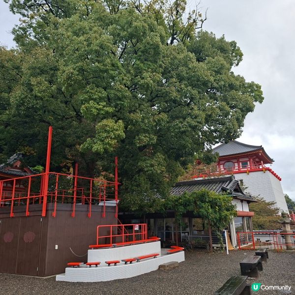 和歌山紀三井寺🍁打卡靚景🤭旅遊熱點分享📸