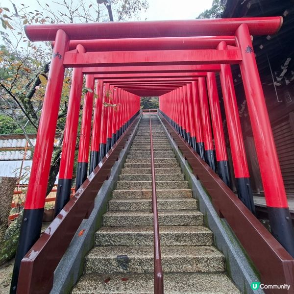 和歌山紀三井寺🍁打卡靚景🤭旅遊熱點分享📸