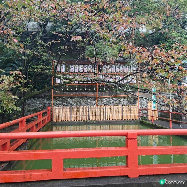 和歌山紀三井寺🍁打卡靚景🤭旅遊熱點分享📸