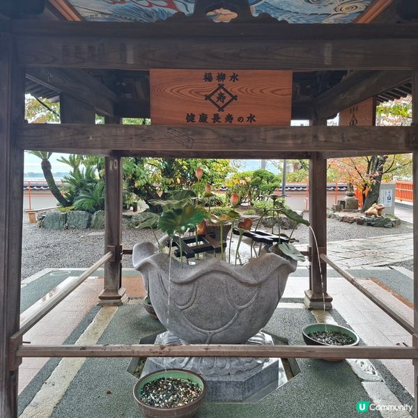 和歌山紀三井寺🍁打卡靚景🤭旅遊熱點分享📸