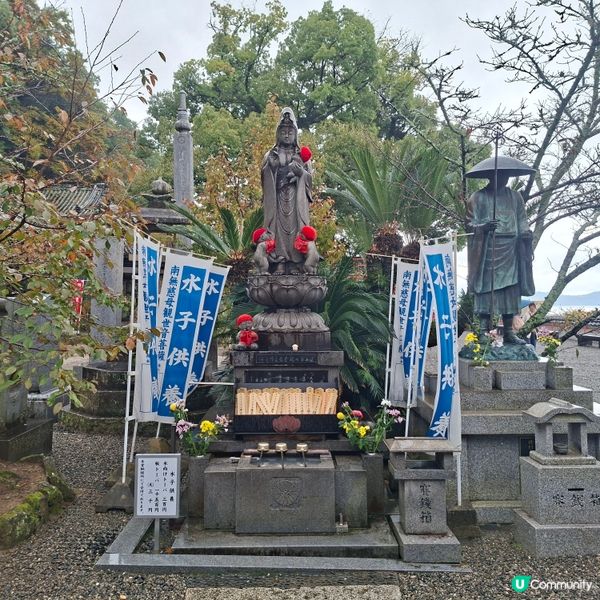 和歌山紀三井寺🍁打卡靚景🤭旅遊熱點分享📸