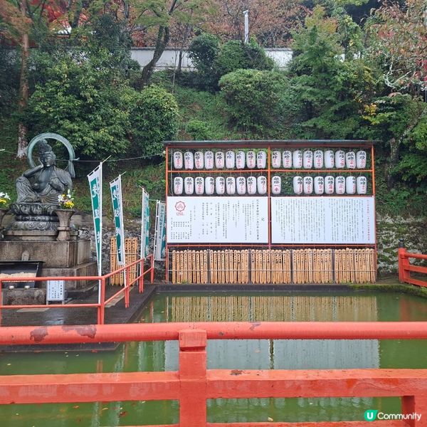 和歌山紀三井寺🍁打卡靚景🤭旅遊熱點分享📸